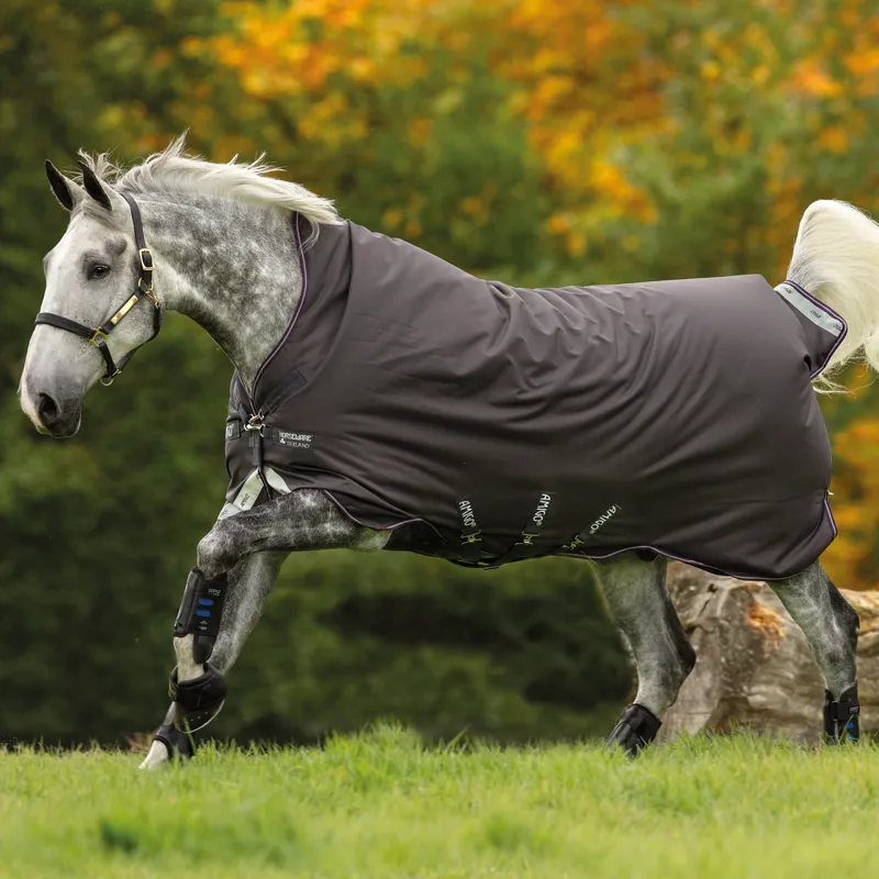 Amigo Bravo 12 Wug Lite Turnout Rug - Excal/Plum/White/Silver